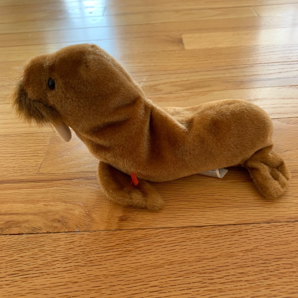 Beanie Baby - Paul the Walrus